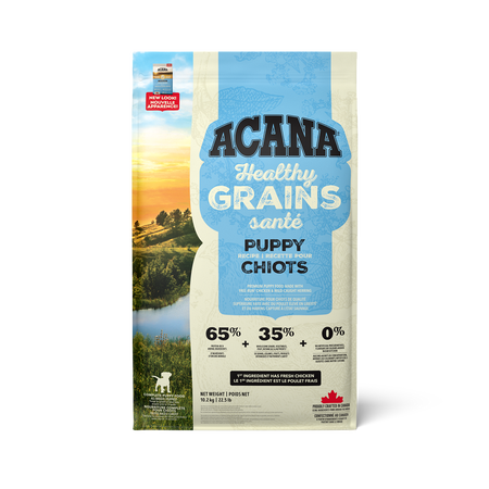 No grain shop puppy food